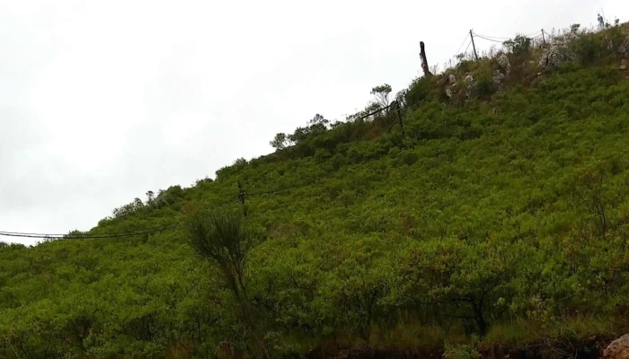 Viviendas Municipales Zona - Minas