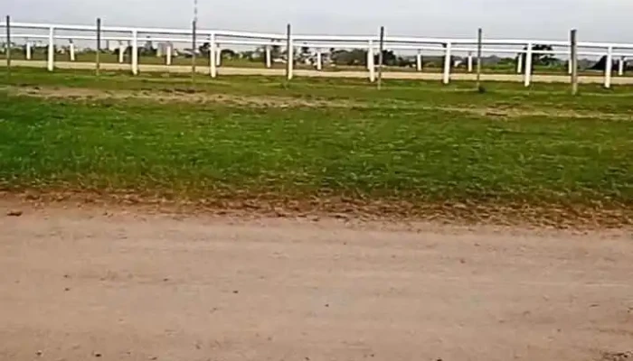 Viviendas Mvotmasitio Pintado De Los Visitantes - Florida