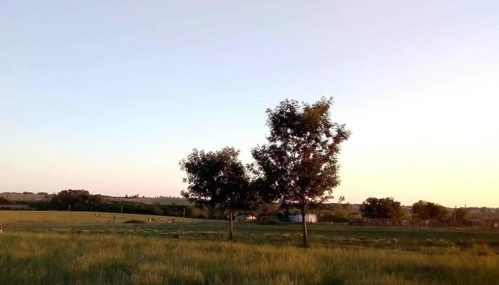 Viviendas Mvotmasitio Pintado Opiniones - Florida