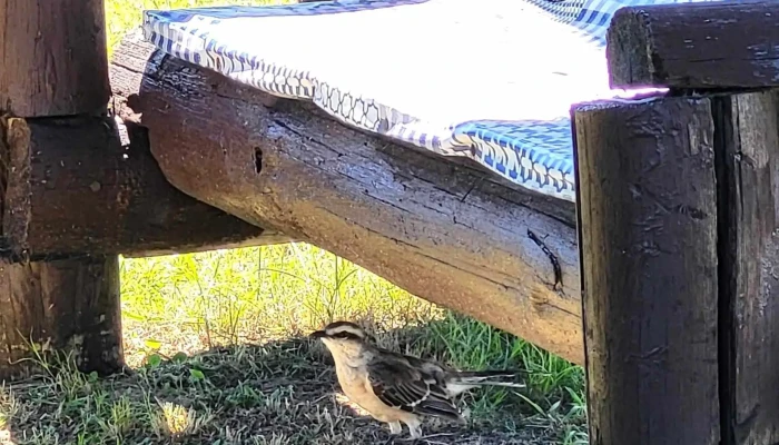 Viviendas Vacacionales La Paloma -    Armada Nacional Catalogo - La Paloma