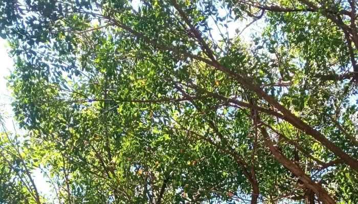 Viviendas Vacacionales La Paloma -    Armada Nacional Como Llegar - La Paloma