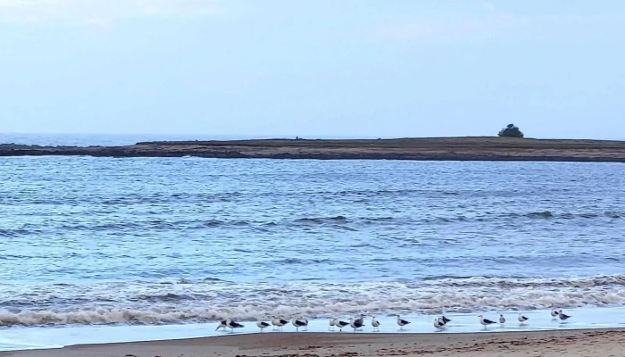 Viviendas Vacacionales La Paloma -    Armada Nacional Instagram - La Paloma