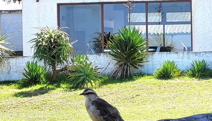 Viviendas Vacacionales La Paloma -    Armada Nacional La Paloma - La Paloma