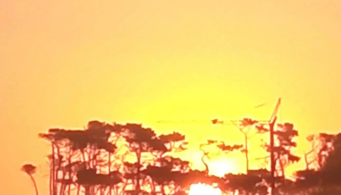 Viviendas Vacacionales La Paloma -    Armada Nacional Telefono - La Paloma