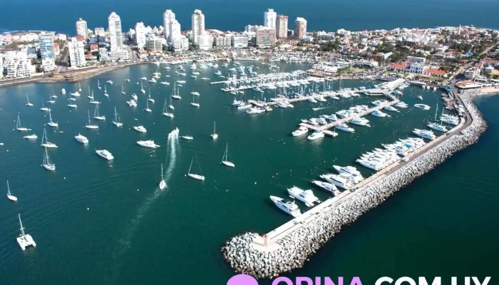 Wynter Inmobiliaria Punta del Este - Punta Del Este