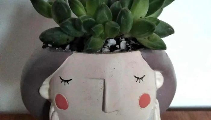 Yeny Fischer -  Numero - Young