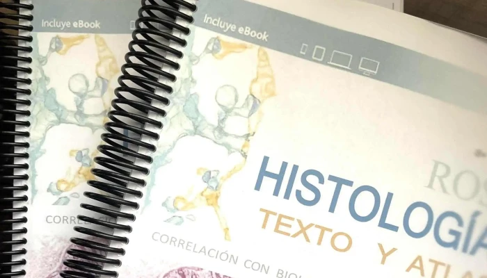 Yl Impresiones Uy -  Donde - Montevideo