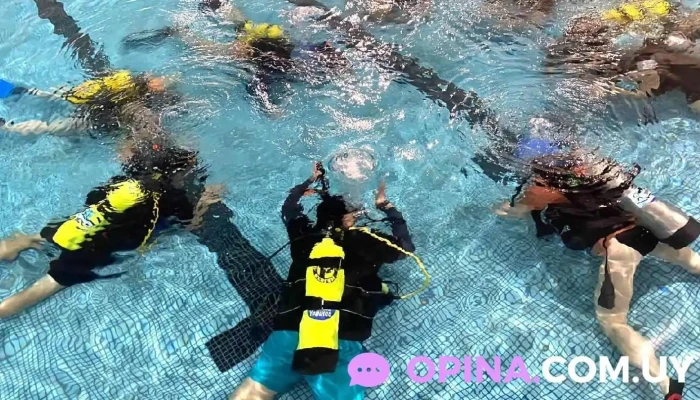 Yobuceo   Escuela Clases Y Cursos De Buceo Padi Catalogo - Montevideo