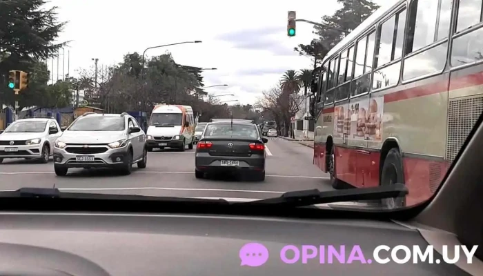 Your Place School Of English -  Videos - Montevideo