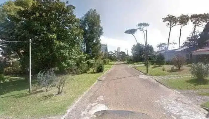 Zenestate Aqui Esta Tu Busqueda Horariodeg - Punta del Este