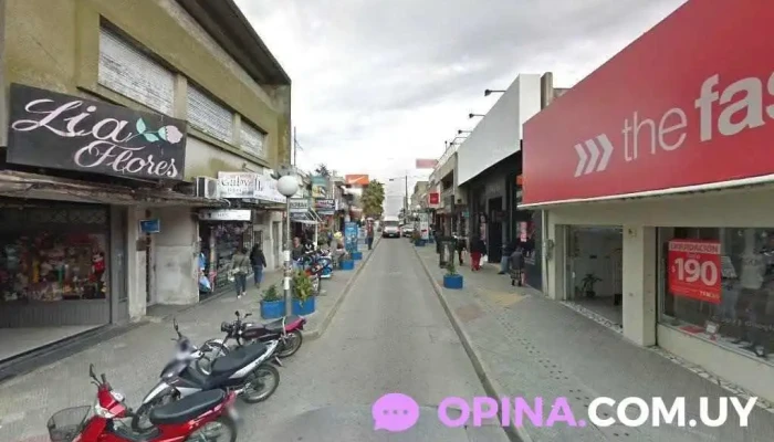 Zenit Pando - 15600 Pando