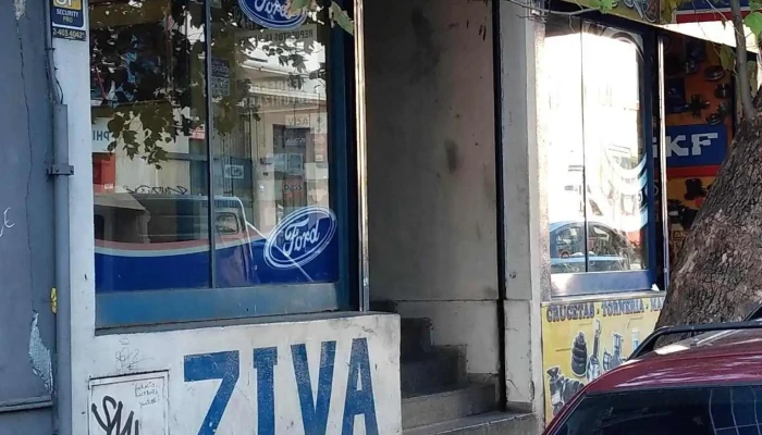 Ziva srl - 11100 Montevideo