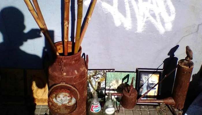 Zona Este Distribuciones - 20000 Maldonado